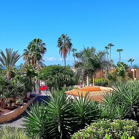 Estudio Borinquen Near The With Pool Апартаменты *